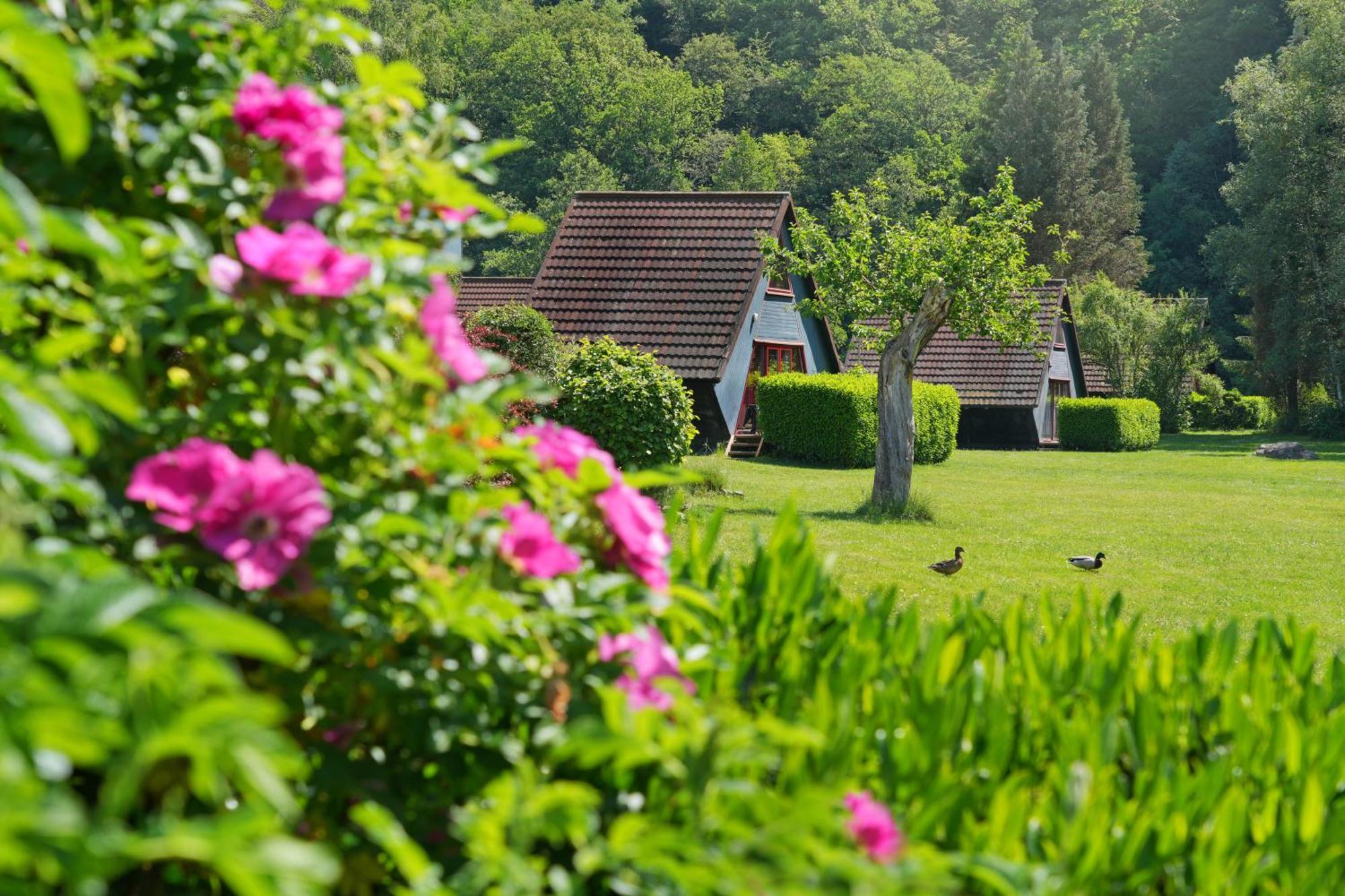 Domaine Long Pre Βίλα Stavelot Εξωτερικό φωτογραφία